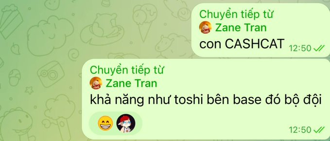 A screenshot of a green-themed Telegram chat in Vietnamese forwarded from Zane Tran, with messages reading 'con CASHCAT' and 'khả năng như toshi bên base đó bộ đội' alongside laughing and witch emojis.
