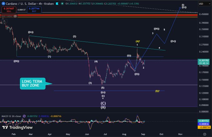 A 4-hour Cardano (ADA/USD) TradingView chart displays Elliott Wave technical analysis with a "LONG TERM BUY ZONE" highlighted between approximately $0.10-$0.15, where the price completed a wave ((II)) bottom and began rallying past the $0.22 resistance level toward $0.30, aligning with the post's bullish thesis.