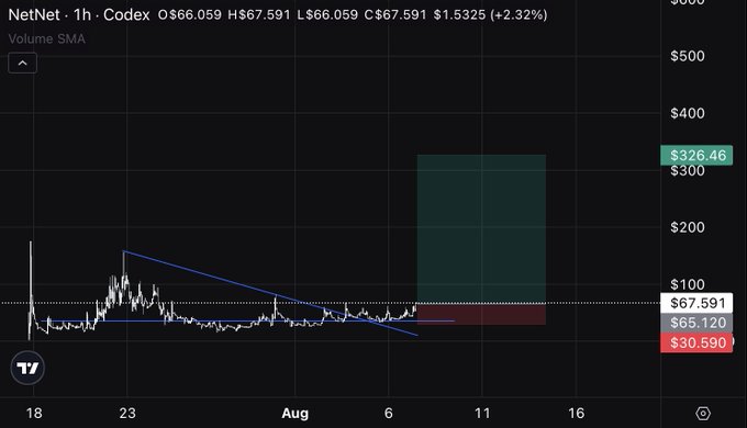 A TradingView chart for the NetNet (NNET) stock on the Codex exchange displays a 1-hour candlestick view with a price decline of 2.32% at $67.591, alongside an overlaid price prediction chart from a user showing a projected range from approximately $30 to $65, with the current price notably exceeding the predicted high. The chart suggests a bull case for the asset given recent treasury growth from $300K to $325K and a circulating market cap of 360k, implying the stock should be trading significantly higher relative to the undervaluation being shown.
