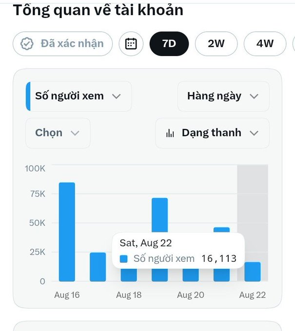 A Vietnamese analytics dashboard titled 'Tổng quan về tài khoản' displays a 7-day bar chart of views, highlighting 16,113 views on 'Sat, Aug 22'.