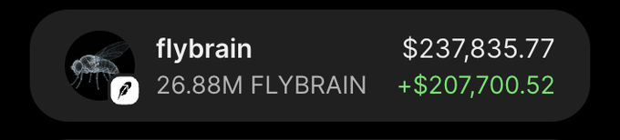 A dark-themed wallet display shows a "flybrain" account holding 26.88M FLYBRAIN tokens, currently valued at $237,835.77, with a daily gain of +$207,700.52 highlighted in green. This screenshot likely accompanies a social media giveaway promotion attempting to build credibility by showcasing large holdings, though the $15 giveaway offer paired with such a massive portfolio suggests a possible scam.