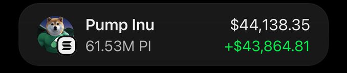 A crypto portfolio display showing 'Pump Inu' token with 61.53M PI holdings valued at $44,138.35, showing a positive change of +$43,864.81 in green.