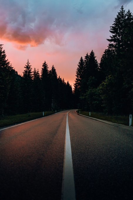 An empty asphalt road winding through a dense forest of evergreen trees at sunset, with a dramatic sky featuring pink and orange clouds against blue.