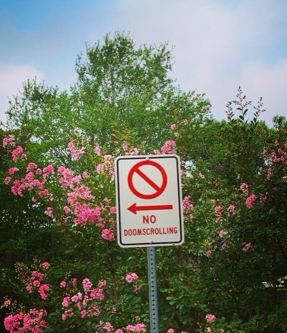 A street sign displaying a red prohibition symbol with an arrow points left to read "NO DOOMSCROLLING," set against a backdrop of lush green foliage and pink flowers under a pale blue sky.