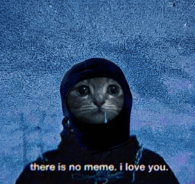 A cat's face edited into a hooded, crying figure against a grainy blue background, with the caption "there is no meme. i love you." displayed at the bottom.
