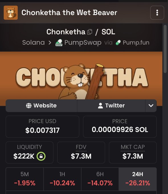 A screenshot of the "Chonketha the Wet Beaver" ($Chonketha) token page on PumpSwap via Pump.fun shows a price of $0.007317 USD (0.00009926 SOL) and a market cap of $7.3M with liquidity of $222K, while the token has dropped 26.21% in the last 24 hours—illustrating the bearish performance of the meme coin being promoted in the post.
