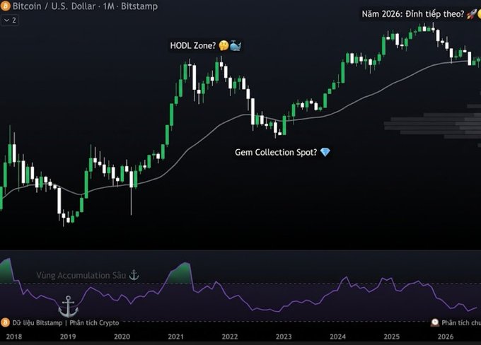 The image shows a Bitcoin/U.S. Dollar monthly candlestick chart from Bitstamp spanning 2018-2026, annotated with "HODL Zone?," "Gem Collection Spot? 💎," "Vùng Accumulation Sâu" (Deep Accumulation Zone), and "Năm 2026: Đỉnh tiếp theo?" (2026: Next peak?). The bottom panel displays the RSI indicator dipped below 30, visually supporting the post's claim of extreme oversold conditions and highlighting the tension between crowd fear and potential accumulation opportunities near key historical support levels.