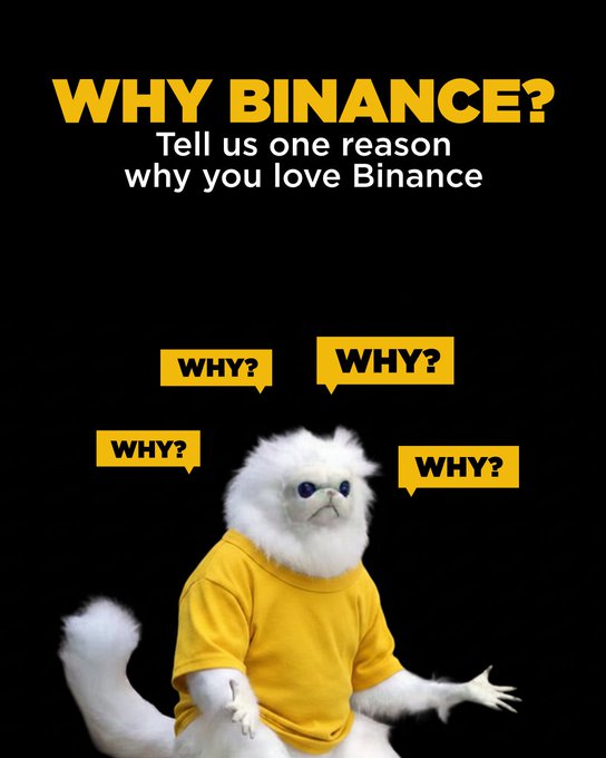The image features a white cat wearing a yellow shirt, sitting against a black background with three speech bubbles above its head that ask "Who?". The text below the cat reads "Why won't you love #Binance", which seems to be a humorous response to the question posed by one of the speech bubbles.