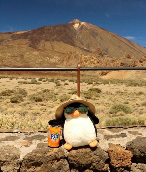 A stuffed penguin toy wearing a straw hat and sunglasses sits on a stone wall next to an open can of Fanta, with Mount Teide visible in the background under a clear blue sky.