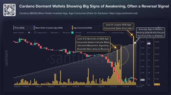 The image presents a price chart showing a dramatic change in Cardano wallets' activity, suggesting that large dormant wallets have recently come to life after a recent price flush. The chart displays multiple spikes in the Age Consumed indicator, indicating that investors are actively participating in the cryptocurrency market. Additionally, the post mentions the Mean Dollar invested Age has paused its prior climb, implying that the cryptocurrency might experience a pause or plateau before resuming its upward trajectory.