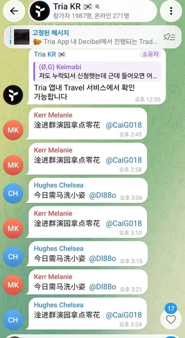 A Telegram chat with 'Tria KR' group (1987 members, 271 online) showing messages in Korean between users about a Decibel app, with translation features visible.