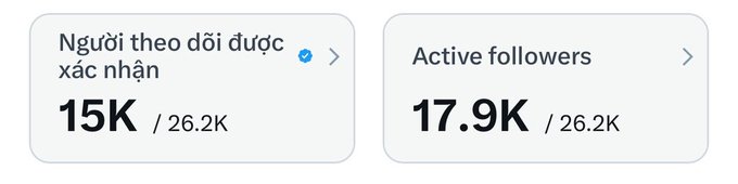 A social media dashboard showing 'Người theo dõi được xác nhận 15K / 26.2K' and 'Active followers 17.9K / 26.2K'.