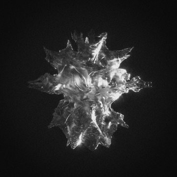 A black and white abstract crystalline or organic shape against a dark background.