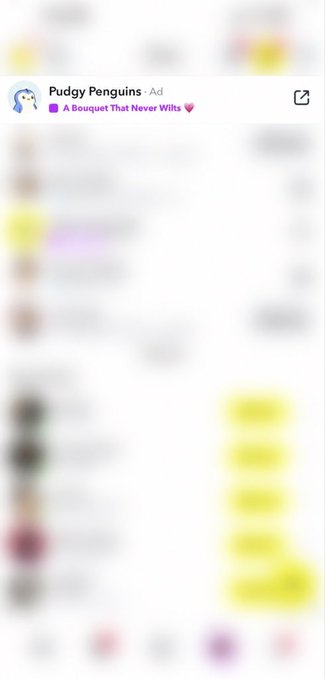 Blurry screenshot of a social media ad from 'Pudgy Penguins' titled 'A Bouquet That Never Wilts' showing a chat conversation.