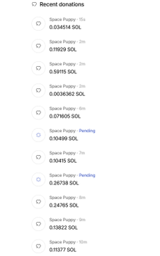 A screenshot of 'Recent donations' showing multiple small transactions labeled 'Space Puppy' in SOL cryptocurrency, ranging from about 0.003 to 0.59 SOL.