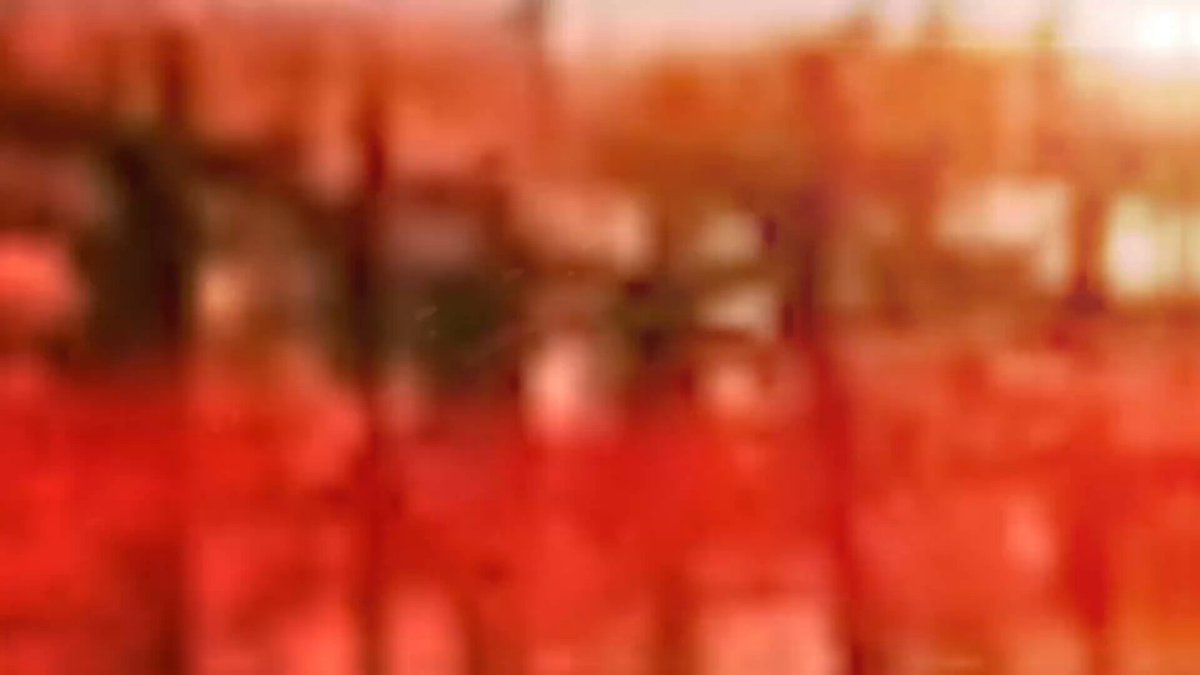 The image features a red background with blurred trees, giving it an artistic or dreamy appearance. The text "你想成为 DOGE、PEPE 这样的大社区", which translates to "I want to be a dog", is prominently displayed in the image. This phrase seems to be part of a meme, as it has been used for sharing content on social media platforms like Memes. The overall theme and style of the image suggest that it might be related to a popular meme culture or trend at the time it was posted.