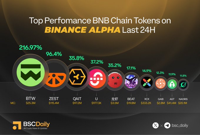 The image is a bar graph that shows information about various Binance chain tokens, specifically Bitcoin (BTC) Chain Tokens. The graph highlights the performance of different coins over time, with each token represented by its corresponding symbol or logo on the bottom half of the page. There are also several other symbols and logos in the center area of the bar graph, indicating that there is a wide range of tokens being displayed. The title of the post reads "Top Performance BNB Chain Tokens on Binance Alpha Last 24H ... - @ZestProtocol QAIT — @Sealcoin_QAIT U ... - @union_build 龙虾 BEAT ... - @Alaya_ai NAORIS ... - @gaib_ai GAIB ...", which emphasizes the data being represented and gives context to what is being discussed.