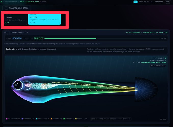 A scientific web interface titled 'ZEBRAFISHBRAIN > REAL ZEBRAFISH DATA > LIVE' showing a 3D visualization of a zebrafish larva with colorful nerve and brain imaging, highlighting score boxes labeled 'READING' and 'AROUSED'.