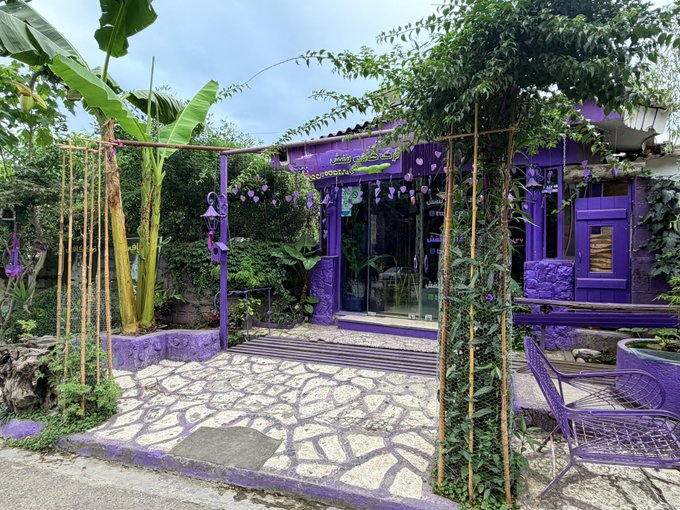 A vibrant purple-colored storefront or cafe with lush greenery, a stone pathway, and a matching purple wire chair in the foreground.