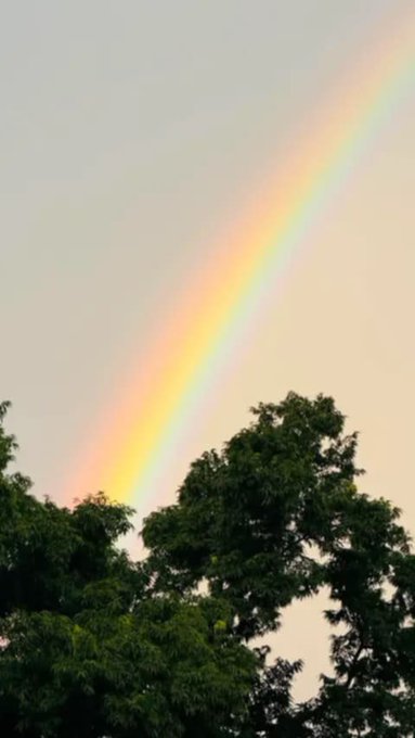 A faint rainbow arcs across a pale gray sky above the green canopy of leafy treetops.