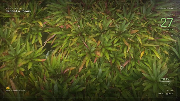 An overhead shot of dense green and reddish bamboo-like foliage, styled as a "CERTIFIED outdoor" stream overlay with text "PROUD OF GRASS verified outdoors," "DAY 27 OF CYCLE 5 #4," "TOP 5% GRASS FINGERS," and "CERTIFIED #6 touch grass."