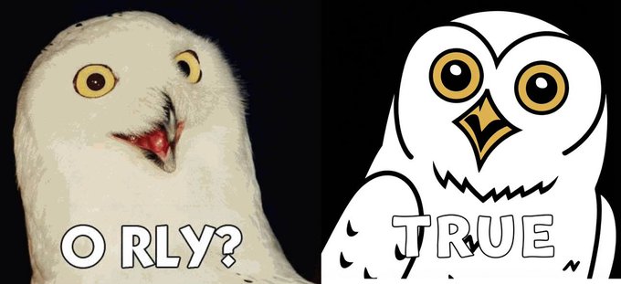 A split image showing a photograph of a white snowy owl on the left labeled "O RLY?" next to a cartoon owl illustration labeled "TRUE" on the right, with the text "O RLY?" referencing the classic internet meme that predates Bitcoin, as described in the caption.