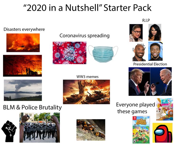 The meme collage titled “2020 in a Nutshell Starter Pack” groups the year’s major events—disasters, coronavirus spreading, R.I.P. icons, the Presidential Election, BLM & Police Brutality, WW3 memes, and the games everyone played—into a satirical snapshot of 2020. The post’s fun fact that tomorrow will mark 2020 days since the year began highlights the collective reflection on what we were doing during that tumultuous period.