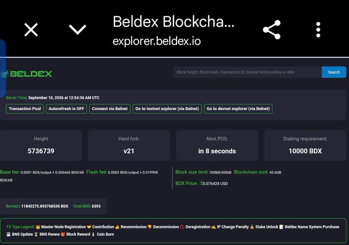 A screenshot of the Beldex blockchain explorer (explorer.beldex.io) showing block height 5736739, hard fork v21, and other network statistics, accessed via mobile browser.