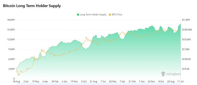 A coinglass chart titled "Bitcoin Long Term Holder Supply" displays BTC Long Term Holder Supply (green area, ranging from 0 to 18.00M) alongside BTC Price (yellow line, ranging from $10.00 to $1.00M on a logarithmic scale) from August 2015 to July, showing the long-term holder supply reaching new all-time highs near 15M+ while Bitcoin price consolidates, visually supporting the post's claim of accumulation by strong hands and an impending supply shock.