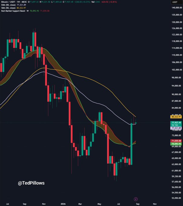 A Bitcoin/USD weekly chart from TedPillows shows BTC consolidating around $77,937 with the price testing key moving averages—the 50-week MA (purple line near $77,000) and the 50-week EMA (yellow line around $80,300)—illustrating the critical support/resistance levels mentioned in the analysis that could determine whether Bitcoin rallies or drops below $74,000.