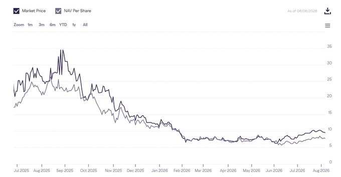 A line chart titled "Market Price" and "NAV Per Share" as of 08/08/2026, tracking two metrics from July 2025 to August 2026, showing both values peaking around 35 in late 2025 before declining sharply to single digits by mid-2026 and stabilizing near 5-10. The downward trajectory through 2025-2026 visually illustrates the post's commentary that "time flies, only bluechips survive," highlighting how altcoin-related assets lost most of their value while major tokens like $BNB and $SOL remained more resilient competitors.