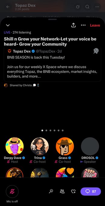 A screenshot of a Twitter/X Spaces audio room in the Topaz Dex community with 274 listening, featuring speakers Derpy Dave (Host), Trina (Co-host), Grass (Co-host), and DROSOL (Speaker), discussing BNB ecosystem topics.