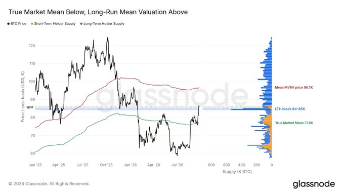 A Glassnode chart titled 'True Market Mean Below, Long-Run Mean Valuation Above' plots BTC Price against Short-Term and Long-Term Holder Supply, highlighting Mean MVRV price at 96.7K, LTH block at 84-85K, and True Market Mean at 77.0K.