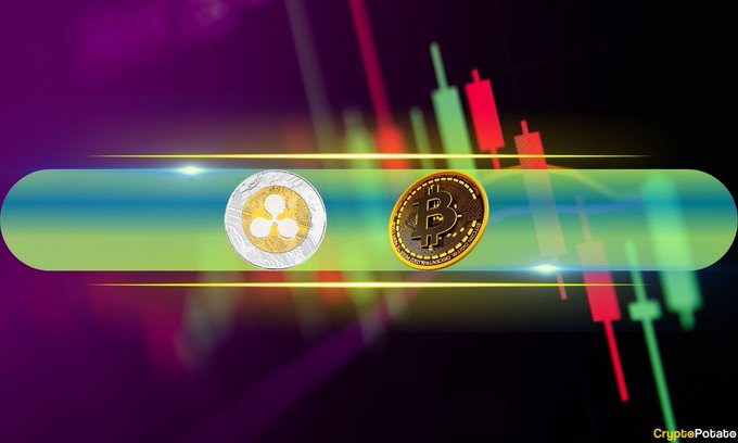 A cryptocurrency graphic showing Cardano and Bitcoin coins over a green rounded bar with candlestick charts; “CryptoPotato” appears at the bottom right.