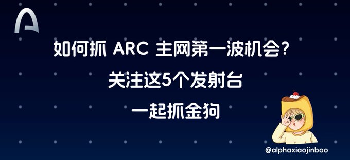 A dark blue promotional graphic with Chinese text reading '如何抓 ARC 主网第一波机会? 关注这5个发射台 一起抓金狗' (How to catch ARC mainnet's first wave opportunity? Follow these 5 launchpads to catch the gold dogs together) with the handle @alphaxiaoqinbao and a cartoon character wearing a yellow dog hoodie.