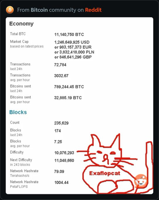 A screenshot showing Bitcoin economy statistics (including 11,140,750 BTC total and a market cap of $1,246,649,925) from the Bitcoin subreddit, overlaid with a hand-drawn red cat illustration labeled "Exaflopcat" that the post identifies as the first actual cat meme on the blockchain.