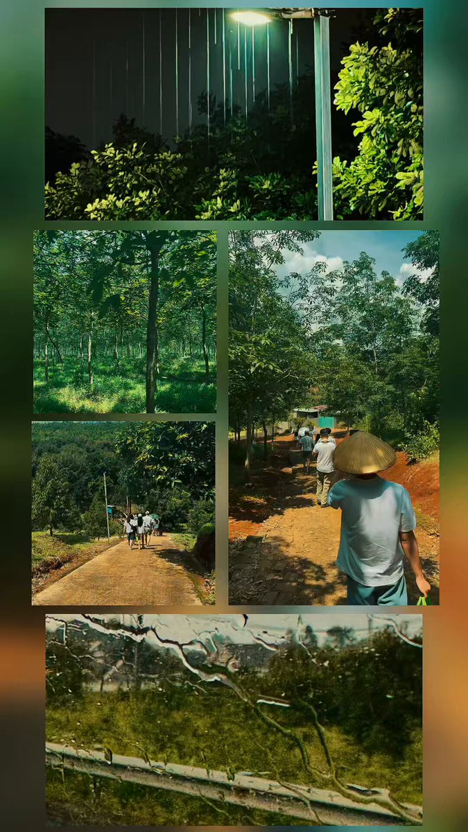 The image features a collage of photos, including one with a person walking down a dirt road surrounded by trees. The other photos show various scenes such as people walking along a path or standing near a building. The collage also includes a photo of a street lamp and another photo featuring a person wearing a hat. These images are related to the post because they all depict outdoor settings, with elements like trees, dirt roads, buildings, and street lamps.