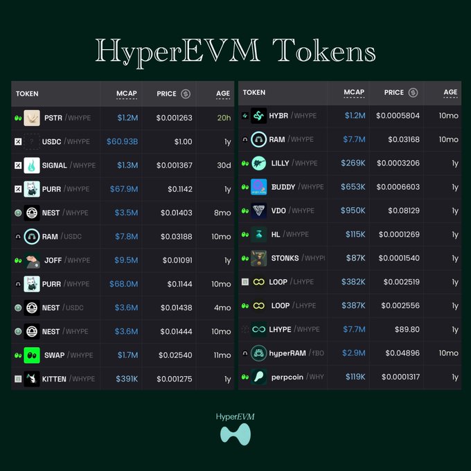 A dark-themed dashboard titled "HyperEVM Tokens" displays a two-column table listing various cryptocurrencies like PSTR, USDC, SIGNAL, PURR, RAM, and HL alongside their market caps, prices, and age, supporting the post's claim of strong 24-hour trading activity with notable entries like USDC ($60.93B MCAP) and PURR ($68.0M MCAP).