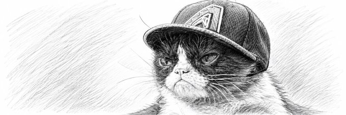 A black and white pencil sketch of Grumpy Cat wearing a baseball cap featuring the "A" Avalanche logo, likely serving as the new banner image for the $CatWifHat token on Moby.