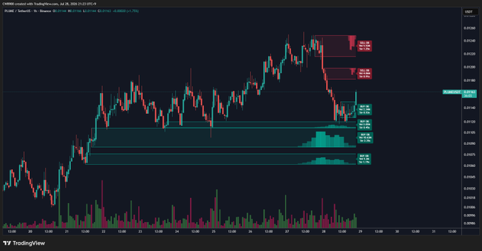 A TradingView chart of PLUME/USDT on Binance shows the price rebounding from a support buy wall near 0.0112, with current price at 0.01209, up 6.22% (-0.00075) on July 28, 2025. The post's claim is visually supported by the green volume histogram and price recovery off the highlighted support level.