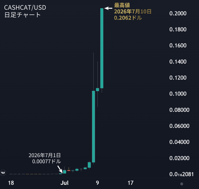 A daily candlestick chart of CASHCAT/USD shows an extreme parabolic spike, with the token surging from $0.00077 on July 1, 2026 to a high of $0.2062 on July 10, 2026—a roughly 26,000% gain—illustrating the speculative altcoin frenzy the post warns against chasing.