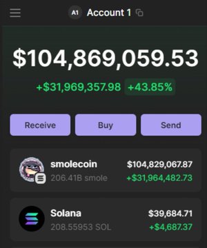 The image shows a crypto wallet displaying Account 1 with a total balance of $104,869,059.53 (up +$31,969,357.98 or +43.85%), highlighting holdings of 206.41B $SMOLE coins valued at $104,829,067.87 alongside 208.55593 SOL worth $39,684.71. This wallet screenshot directly visualizes the post's claim of a massive $32M gain, showcasing the $SMOLE token's substantial holdings as evidence supporting the boast about the coin's $200M valuation and burn narrative.