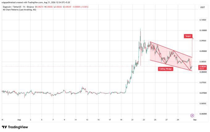 A TradingView chart for 'Dogecoin / TetherUS' on the 1-hour timeframe illustrating a 'Falling Wedge' pattern in red with a red 'Target' indicator pointing upwards.