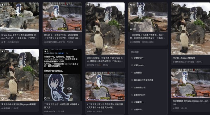 A collage of social media posts, primarily in Chinese, featuring photos of a Humboldt penguin at a zoo with an anime character overlay and references to 'Grape-kun' and the Tobu Zoo.