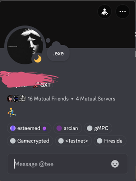 The image shows a social media post with a message from someone named "estemeled" who has just launched a new messenger account for a game called "Minecraft". The person has tagged a mutual friend, and there are multiple figures of characters on the post indicating that they have friends in this virtual gaming world. The post also mentions that they plan to testfireside the game together with their friends from various locations around the globe. This is likely an attempt to engage in a multiplayer adventure or explore different areas within the game as a group.