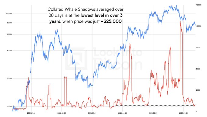 A financial chart with the text 'Collated Whale Shadows averaged over 28 days is at the lowest level in over 3 years, when price was just ~$25,000' shows blue and red lines tracking data from 2021 to 2026, with a 'LookIntoBitcoin' watermark.