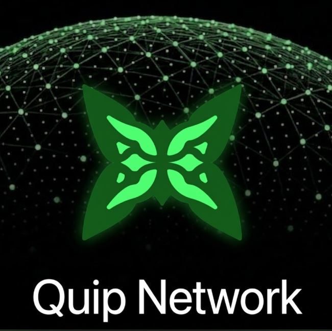 A logo graphic for 'Quip Network' featuring a glowing green butterfly emblem centered over a wireframe globe design on a black background.