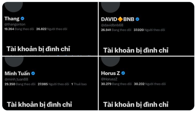 Four suspended Twitter/X accounts displayed in Vietnamese: Thang (@thangonton), DAVID◆BNB (@davidbnb68), Minh Tuấn (@minh_tuan88), and Horus Z (@Horuszz), all marked with 'Tài khoản bị định chỉ' (Account suspended).