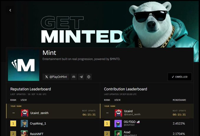 A website screenshot for 'Mint' featuring a polar bear mascot in sunglasses, displaying Reputation and Contribution Leaderboards with usernames like Ucaird_zenith and Cryptking_1.