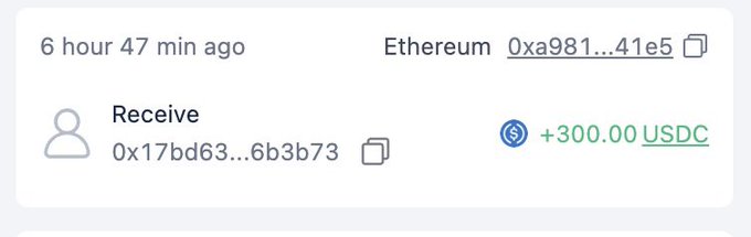 A transaction record shows a receive of +300.00 USDC on the Ethereum network (from address 0x17bd63...6b3b73 to 0xa981...41e5) approximately 6 hours and 47 minutes ago. This incoming USDC payment aligns with the post's mention of a "stable deal payment" that helped offset a 0.2 ETH loss from secondary market trading.